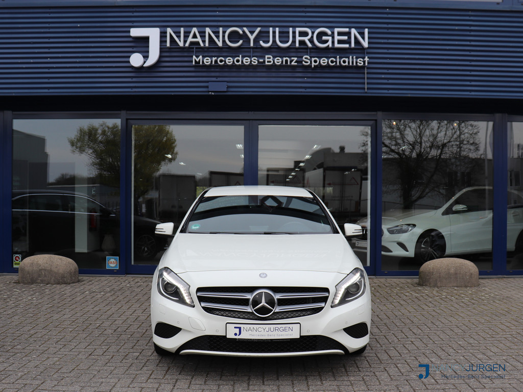 52216366-4.jpg