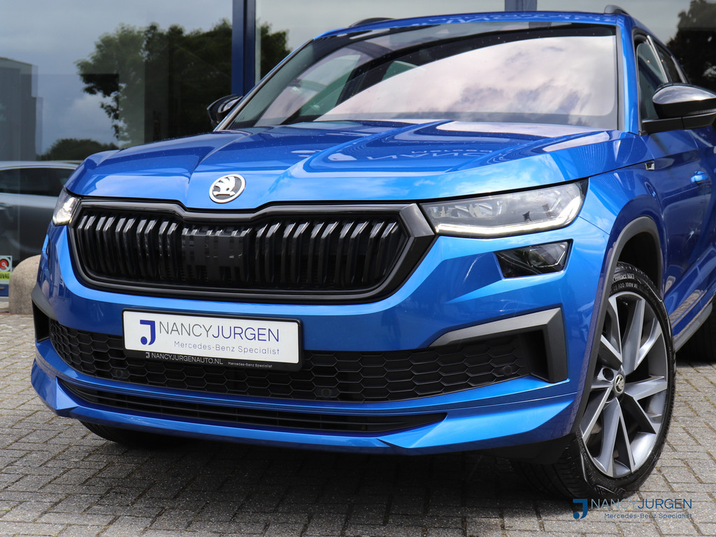 53169488-4.jpg